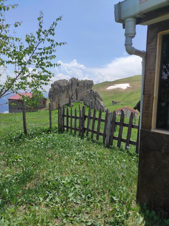 Birlik Yaylakent Caykara ภายนอก รูปภาพ